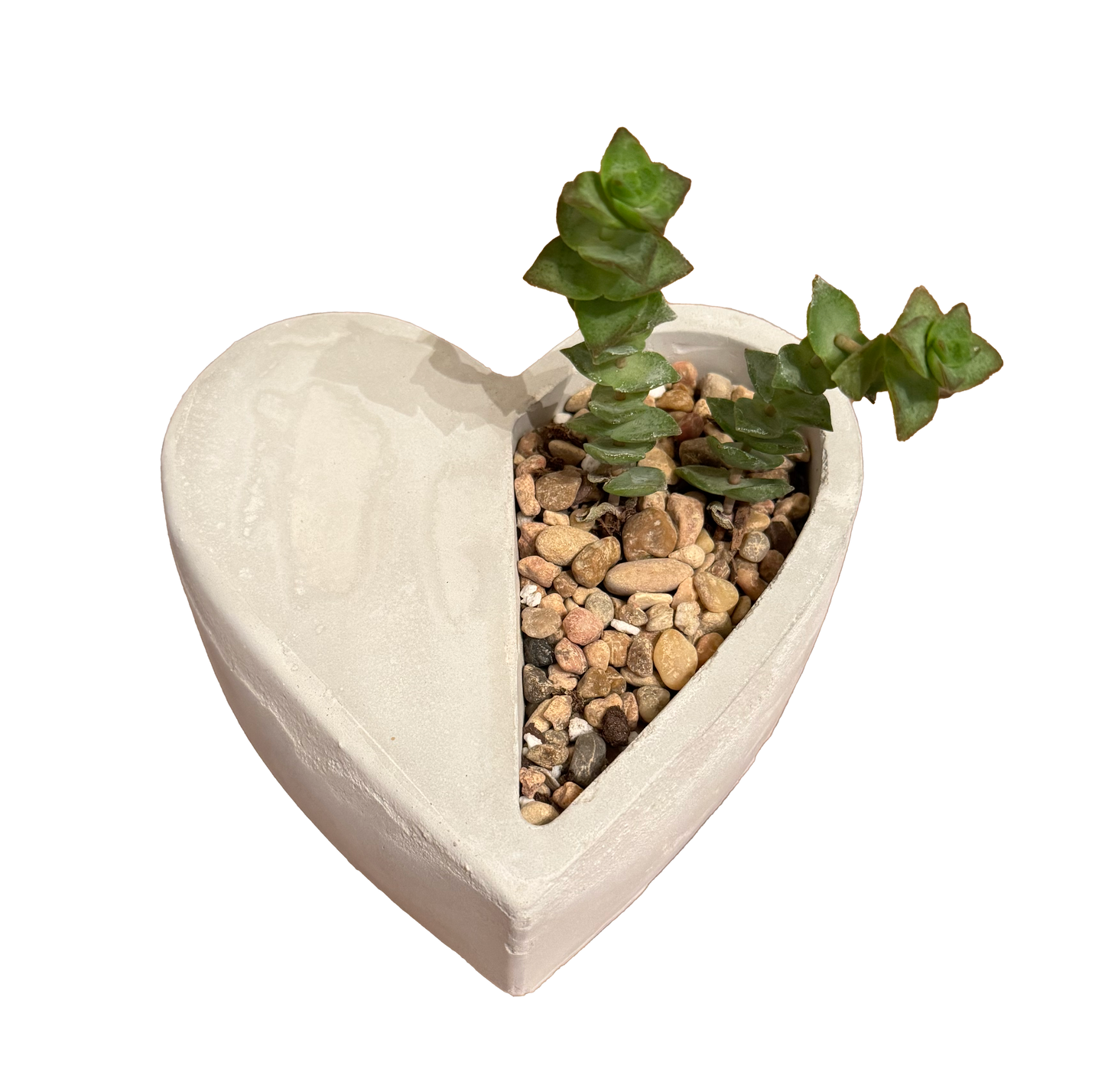 Half Heart Succulent Planter