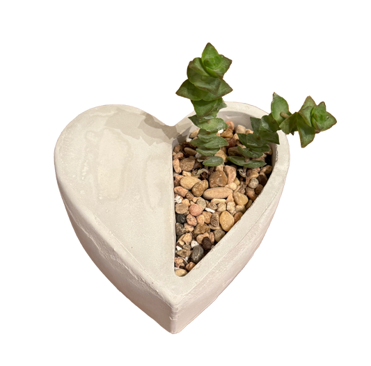 Half Heart Succulent Planter