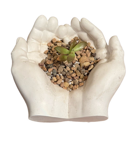 Hand Succulent Planter